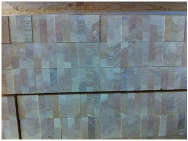 Pine scantlings PINUS SYLVESTRIS