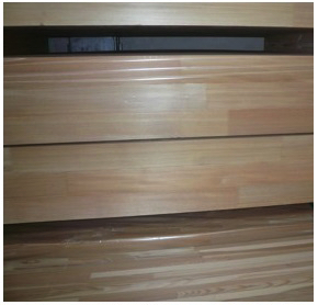 Siberian Larch LARIX SIBIRICA